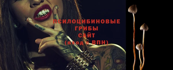 каннабис Арсеньев