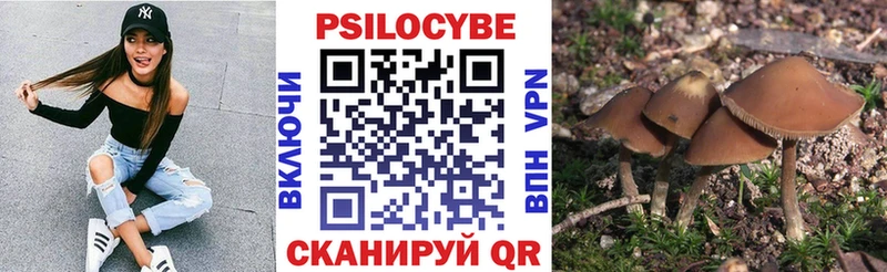 Псилоцибиновые грибы Psilocybine cubensis  hydra   Краснотурьинск 