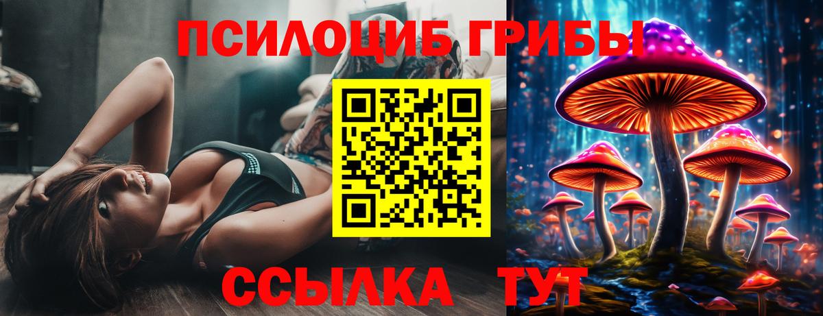 Псилоцибиновые грибы Psilocybine cubensis  где продают наркотики  Краснотурьинск  Вход с VPN 
